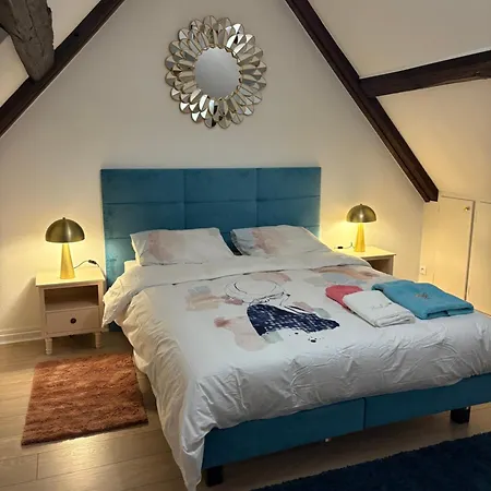 La Cigogne Apartment *