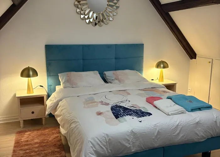 La Cigogne Apartment *